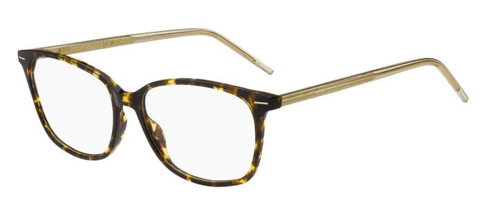 Hugo Boss 1526 designer frame in colour HJV